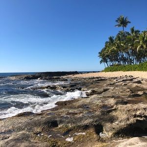 Meet your Posher, Allyson